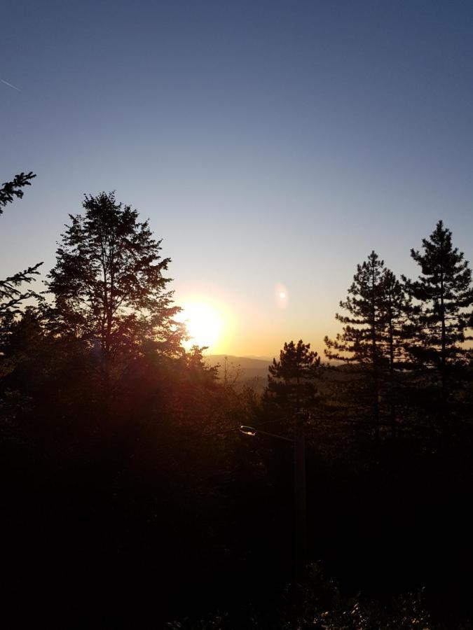 Vila Sumska Bajka Rudnik Exteriér fotografie